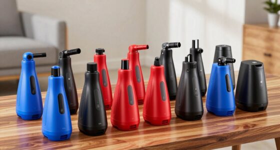 affordable portable carpet cleaners