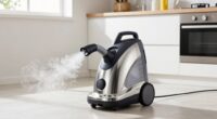 affordable steam cleaner picks