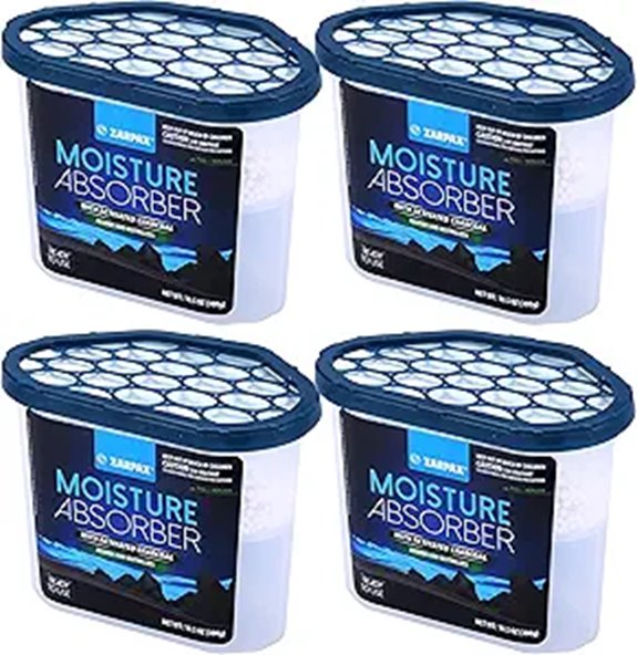 Activated Charcoal Moisture Absorber Set of 4