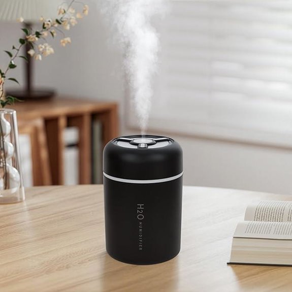 Portable Mini USB Humidifier with Lights