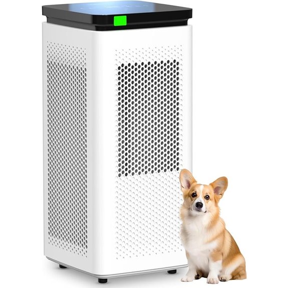 Large Room HEPA Air Purifier with Carbon Filter