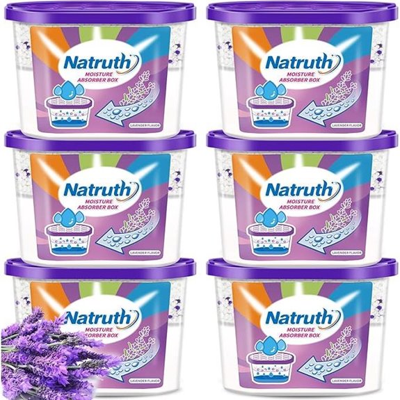 NATRUTH Lavender Moisture Absorbers (6-Pack)