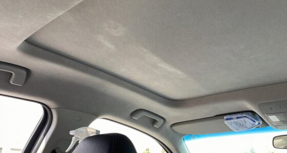 no soak headliner cleaning