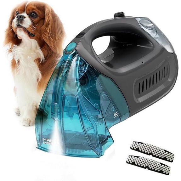 Hausmeister Hydroflex Portable Carpet & Upholstery Cleaner