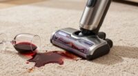 top portable wine stain cleaners