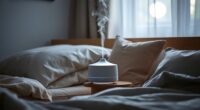 top quiet sleep humidifiers