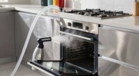 top steam cleaners for appliances