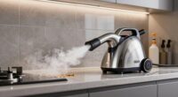top steam cleaners for grease