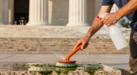 What the Lincoln Memorial’s Algae Problem Teaches Us About Water Feature Maintenance