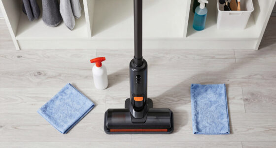 14 Best Cordless Handheld Carpet Cleaners in 2026