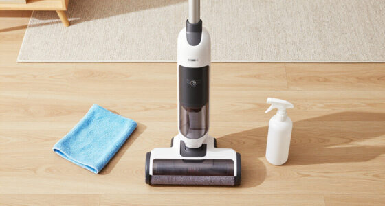 12 Best Cordless Handheld Carpet Cleaners in 2026