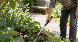 When Are You Too Old To Pull Weeds? Experts Weigh In