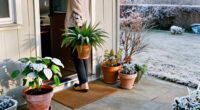 Should You Leave Potted Plants Outdoors In The Winter?